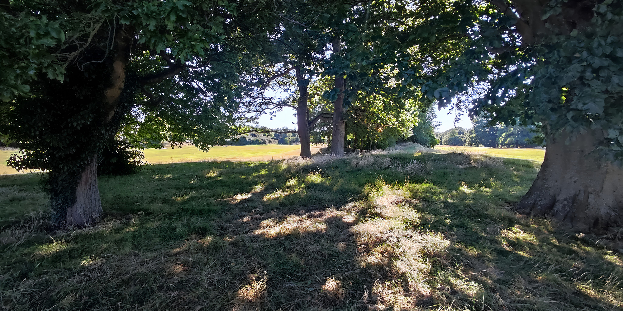 Citywest Cemetery - Murray & Associates Landscape Architecture