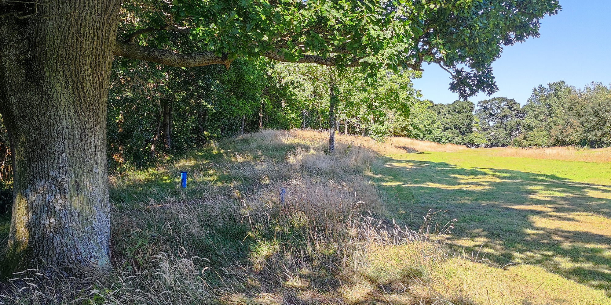 Citywest Cemetery - Murray & Associates Landscape Architecture