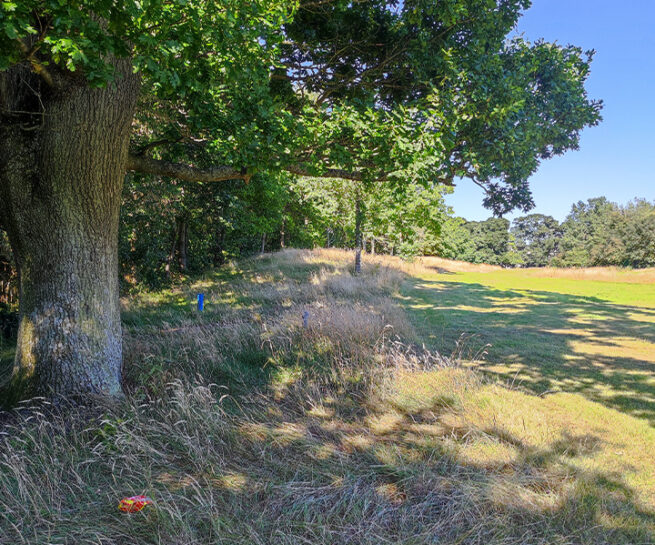 Citywest Cemetery - Murray & Associates Landscape Architecture