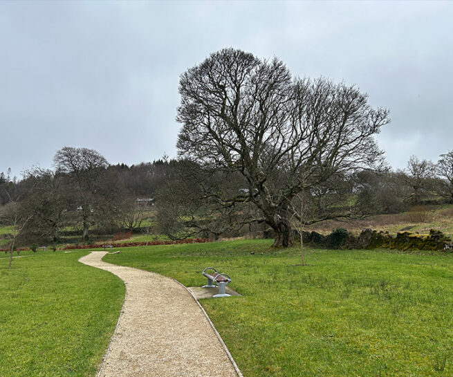 Cleveragh Regional Park - Murray & Associates Landscape Architecture