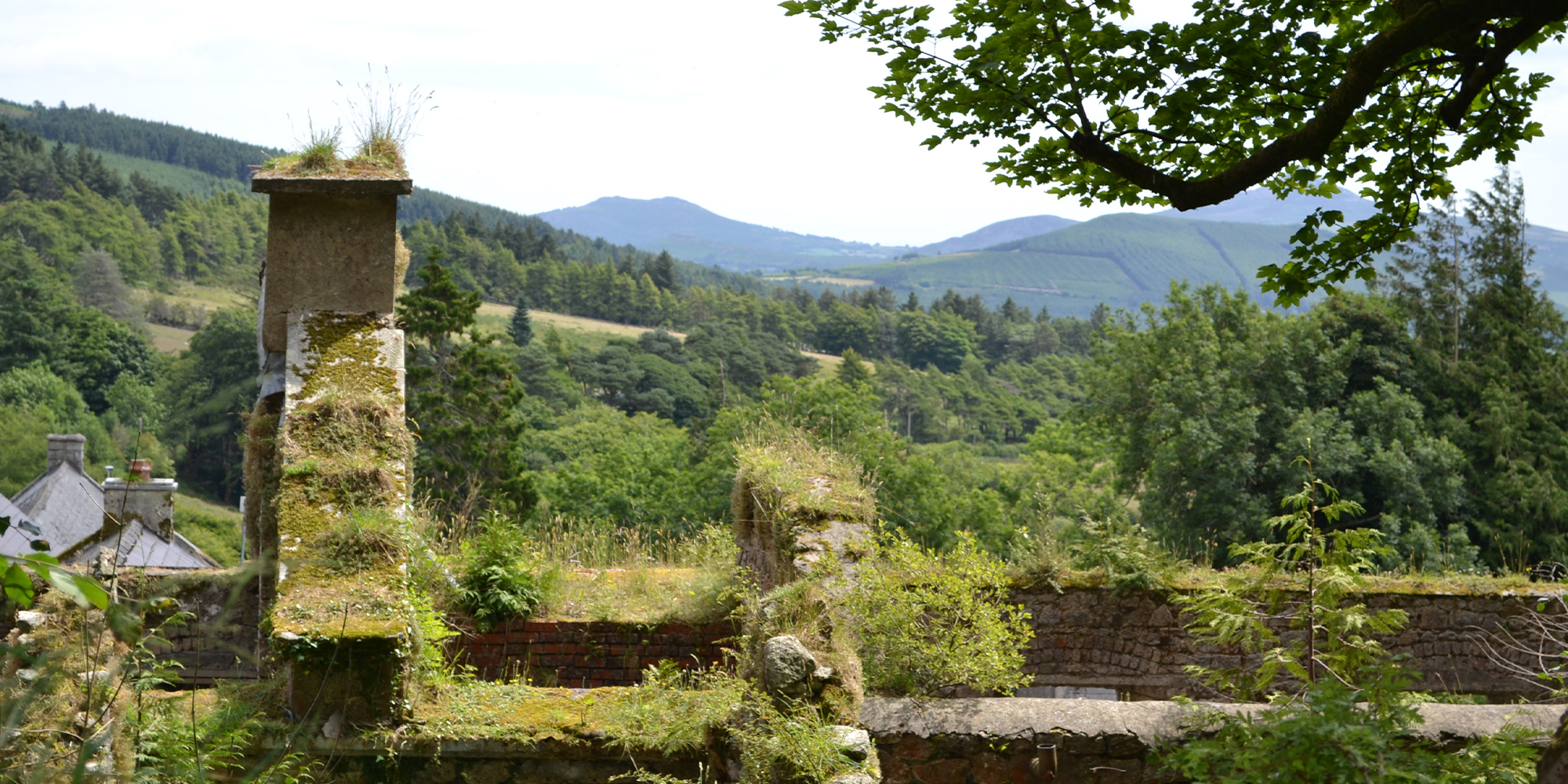 Glencree - Murray & Associates Landscape Architecture