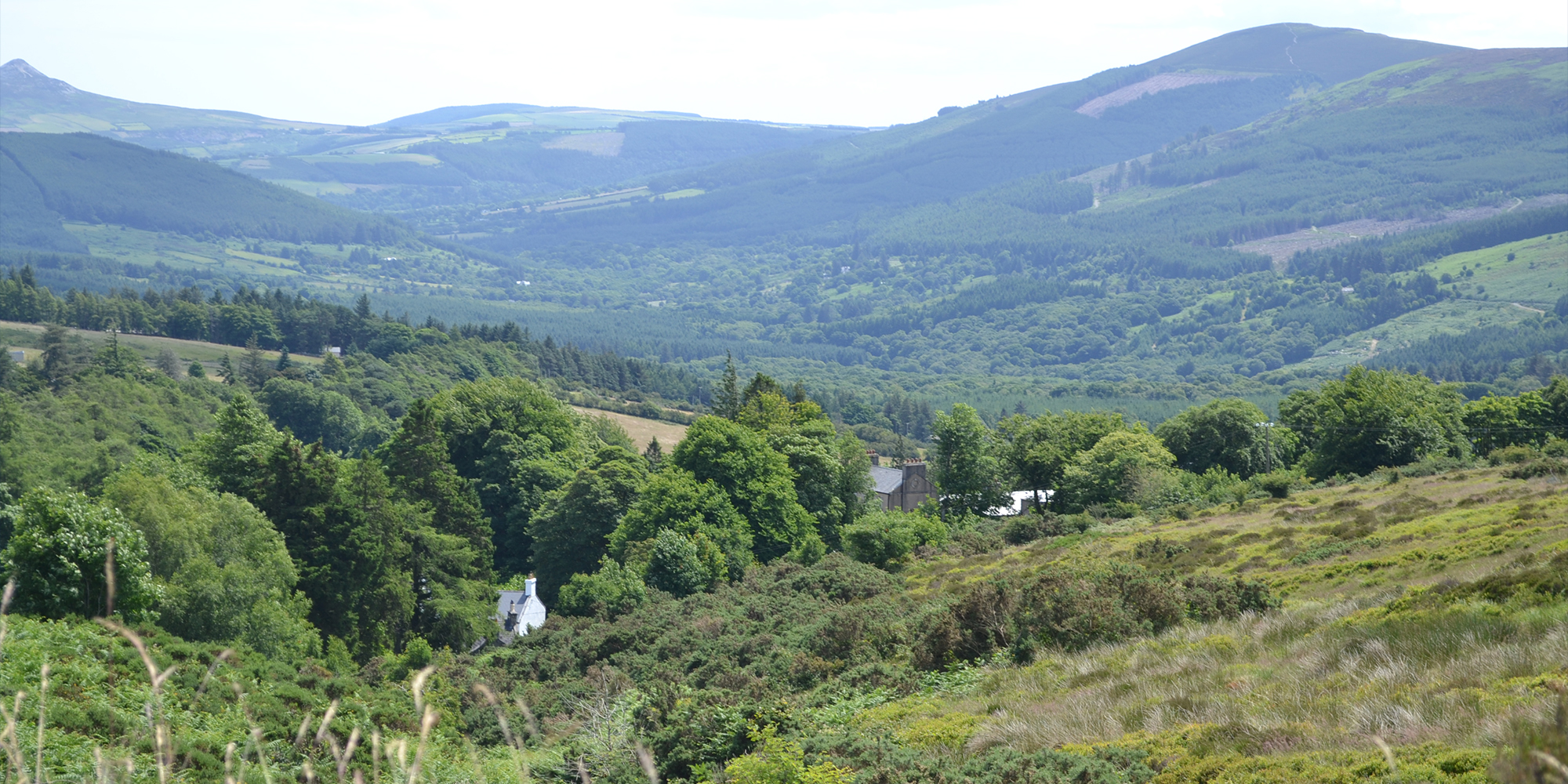 Glencree - Murray & Associates Landscape Architecture