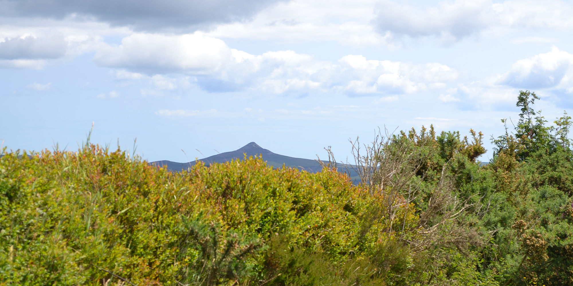Glencree - Murray & Associates Landscape Architecture