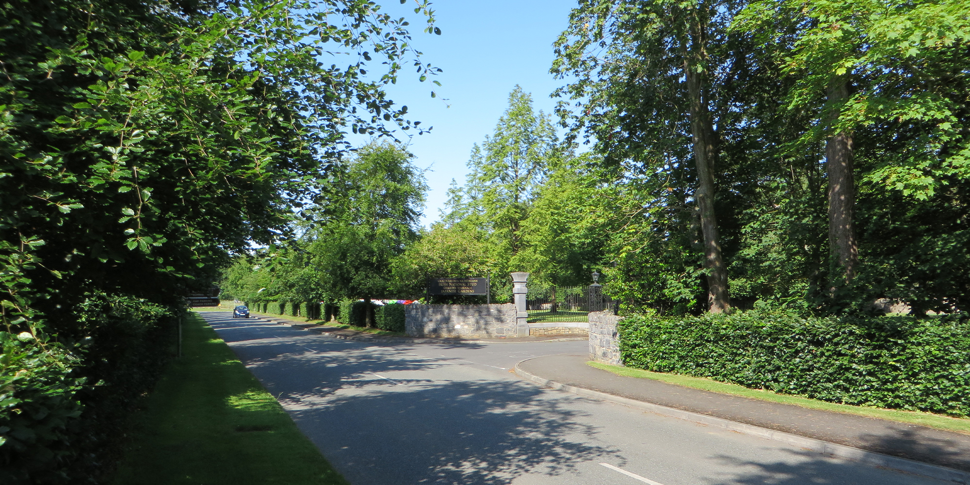 Irish National Stud & Japanese Garden's Car Park - Murray & Associates Landscape Architecture