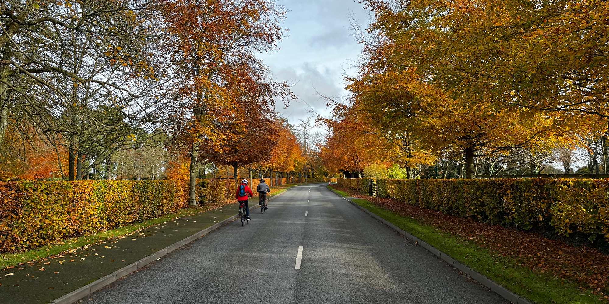 Irish National Stud & Japanese Garden's Car Park - Murray & Associates Landscape Architecture