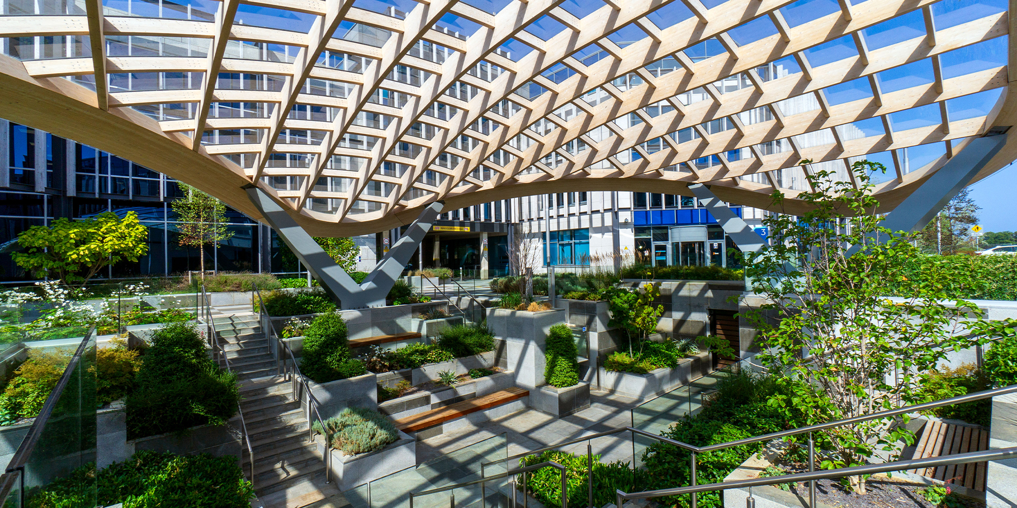 The Campus, Cherrywood - Murray & Associates Landscape Architecture