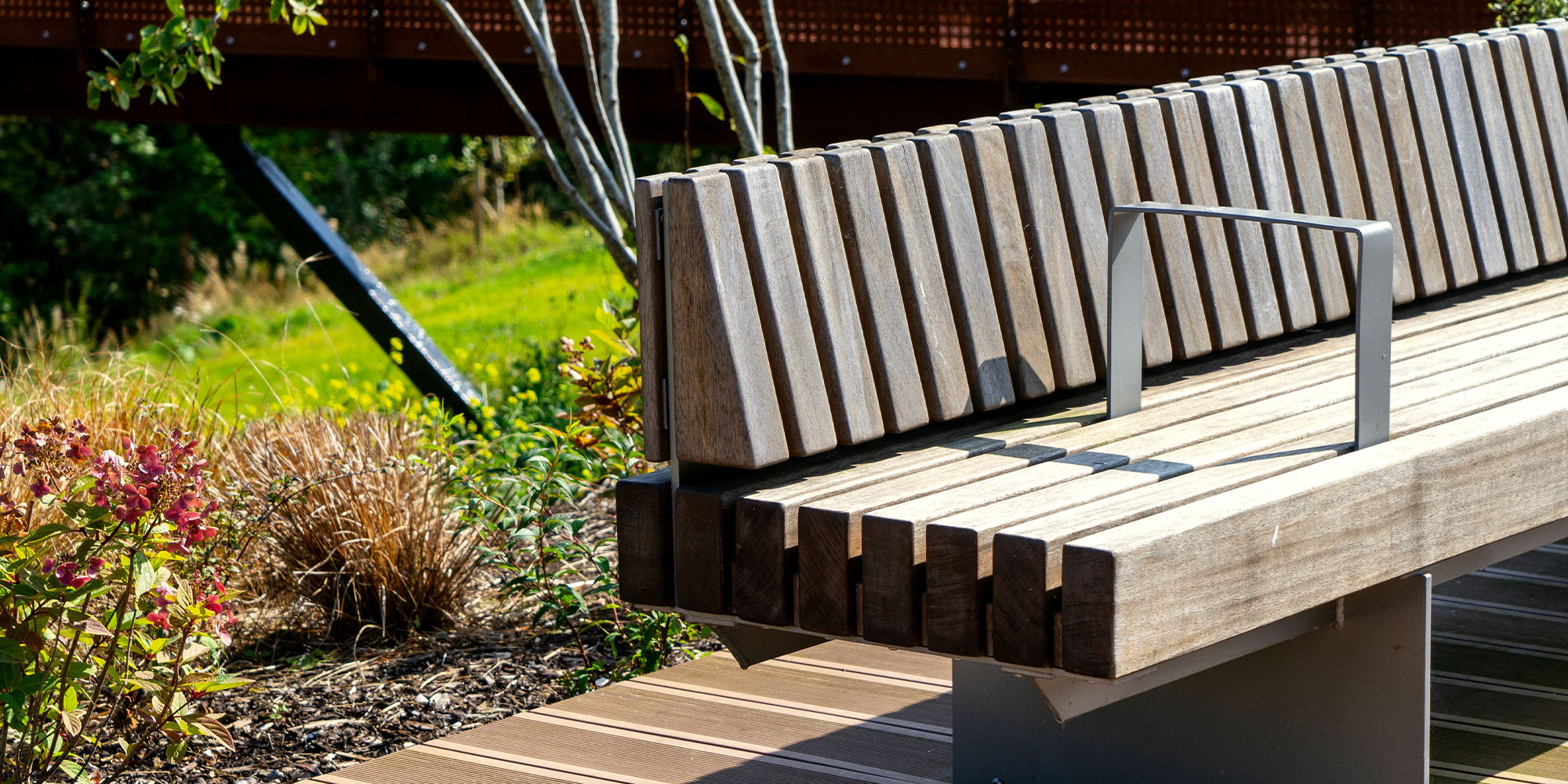 The Campus, Cherrywood - Murray & Associates Landscape Architecture