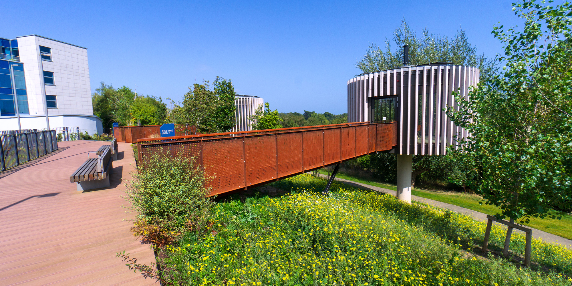 The Campus, Cherrywood - Murray & Associates Landscape Architecture