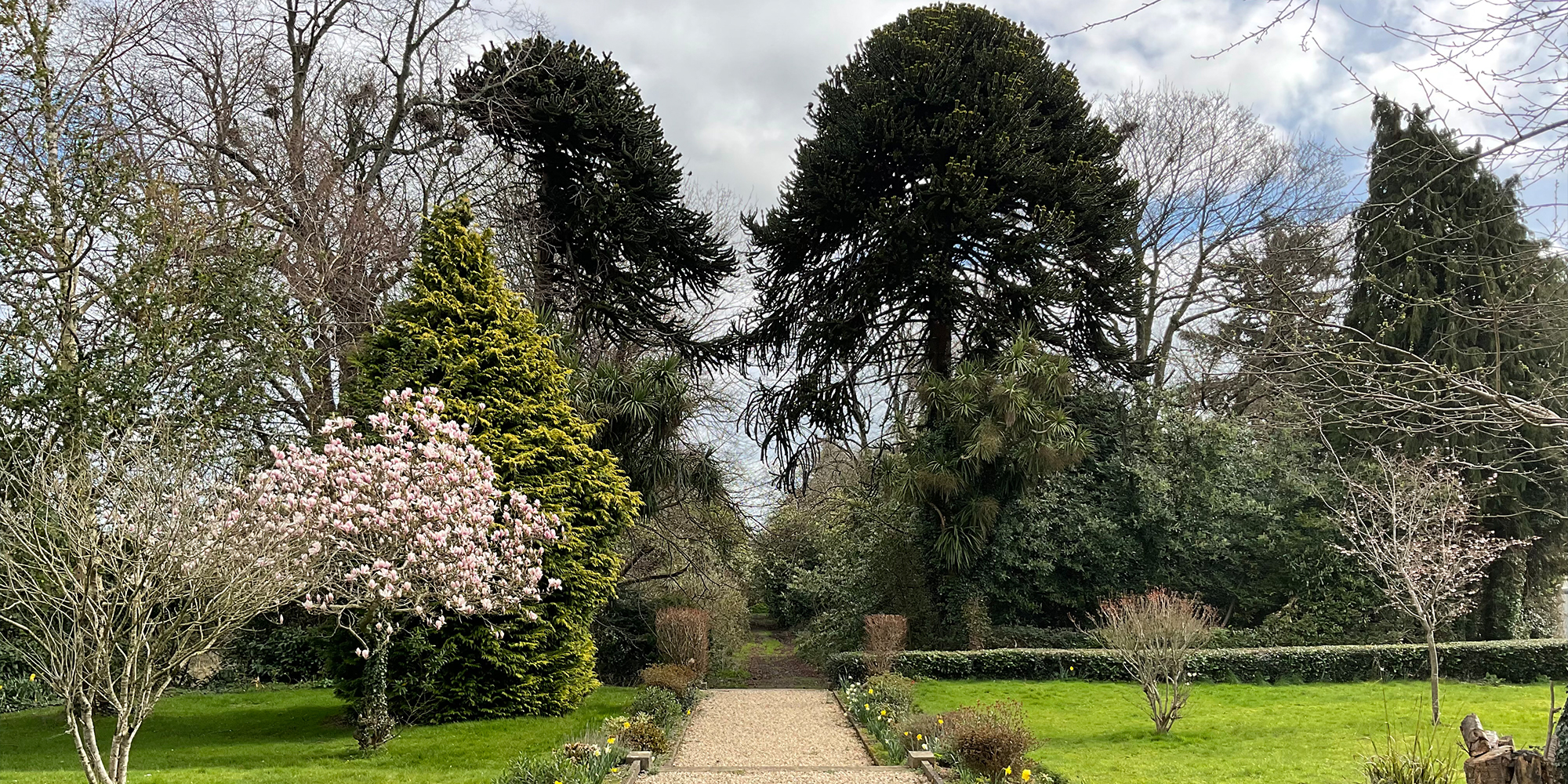 Wicklow Campus - Murray & Associates Landscape Architecture