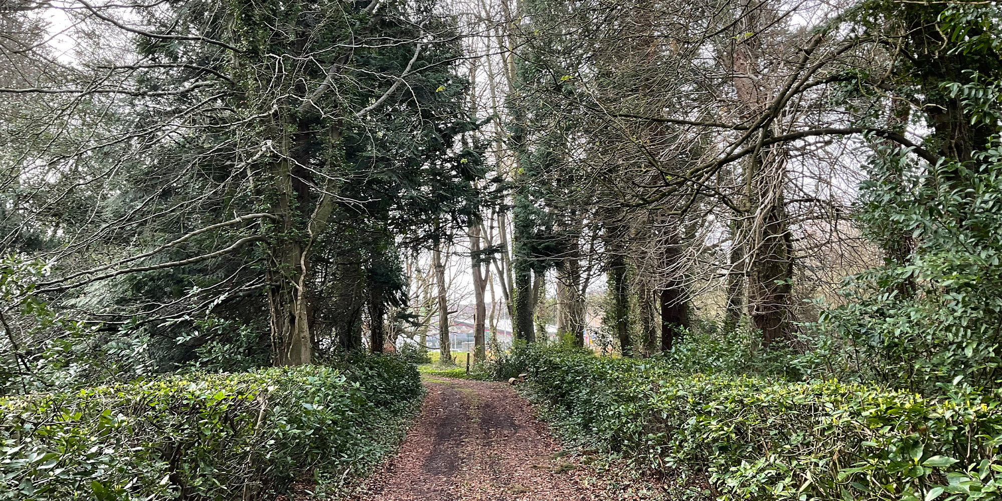 Wicklow Campus - Murray & Associates Landscape Architecture