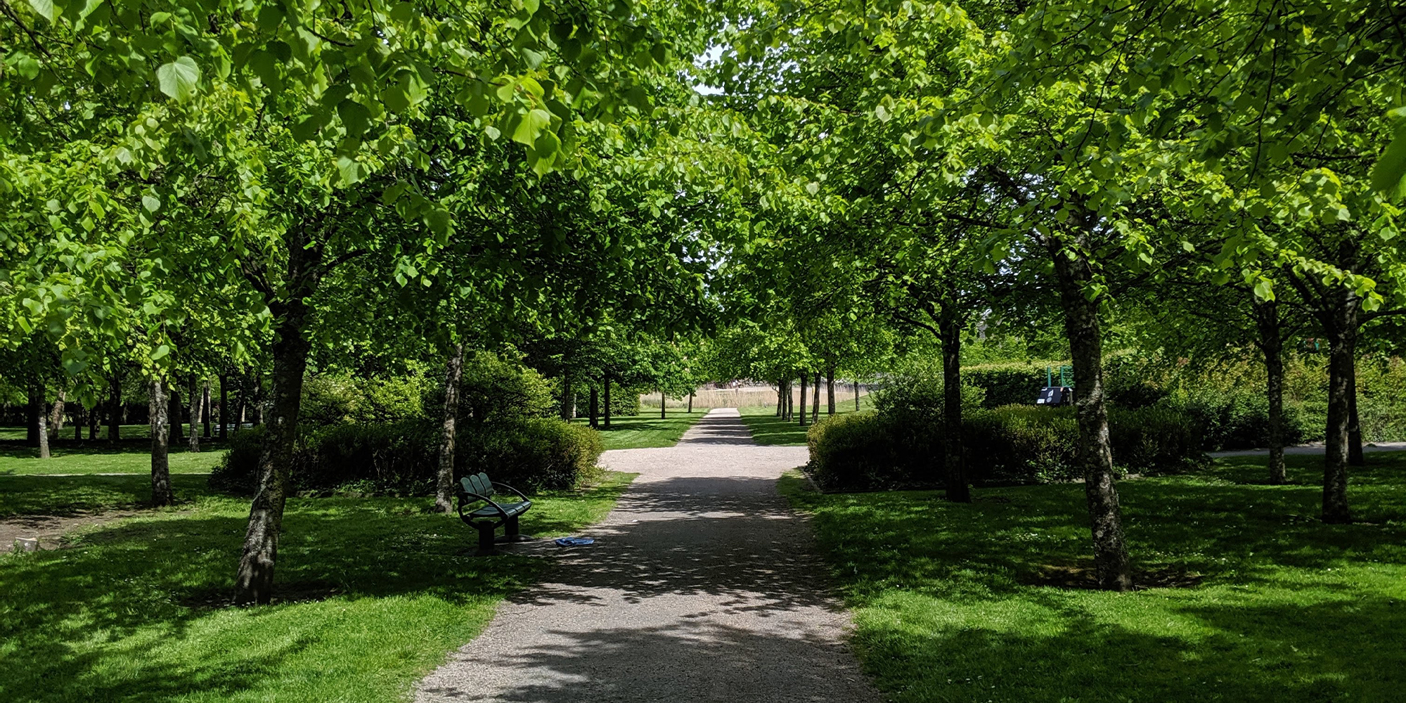 Loughnaneane Park - Murray & Associates Landscape Architecture