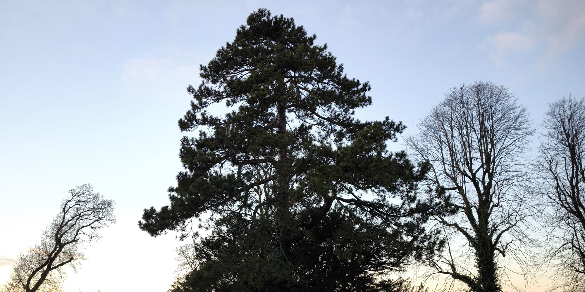 People's Park, Athy - Murray & Associates Landscape Architecture