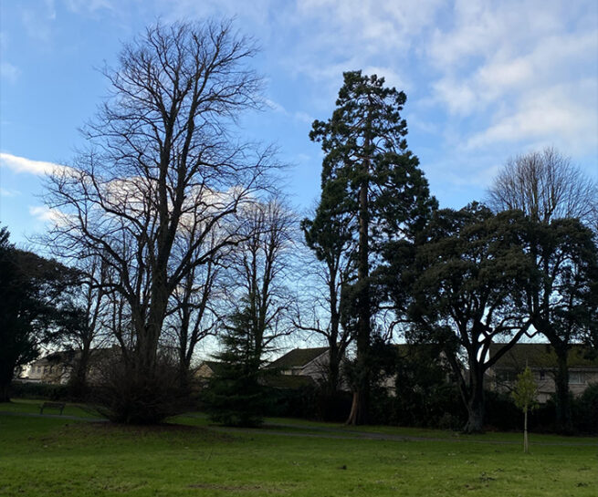People's Park, Athy - Murray & Associates Landscape Architecture