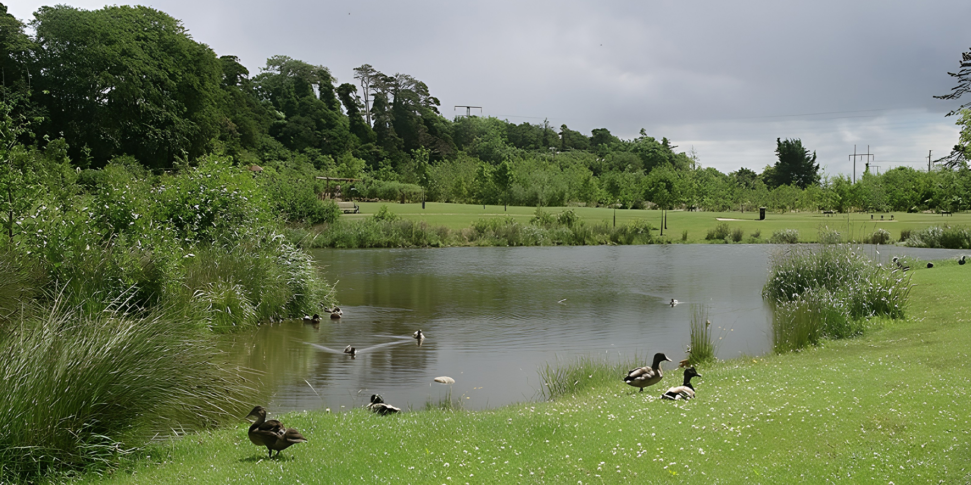 Portlaoise Downs Park - Murray & Associates Landscape Architecture