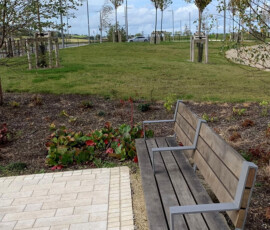 Cherrywood Public Realm – Tully Park - Murray & Associates Landscape Architecture