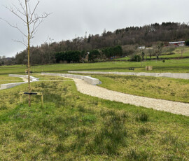 Cleveragh Regional Park - Murray & Associates Landscape Architecture