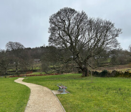 Cleveragh Regional Park - Murray & Associates Landscape Architecture