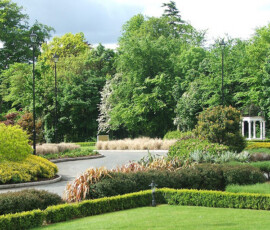 Farmleigh Woods - Murray & Associates Landscape Architecture