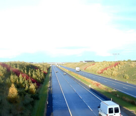 Portlaoise Bypass - Murray & Associates Landscape Architecture