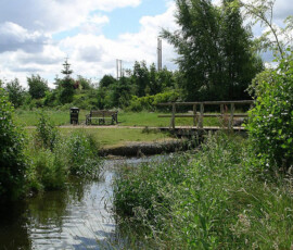 Portlaoise Downs Park - Murray & Associates Landscape Architecture