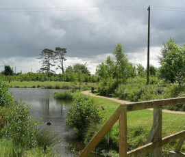 Portlaoise Downs Park - Murray & Associates Landscape Architecture
