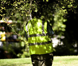 Quality Bus Network Project - Murray & Associates Landscape Architecture