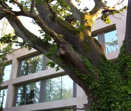 South County Business Park - Murray & Associates Landscape Architecture
