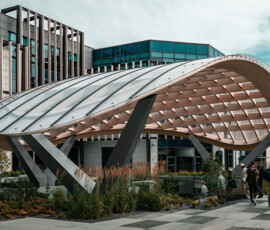 The Campus, Cherrywood - Murray & Associates Landscape Architecture