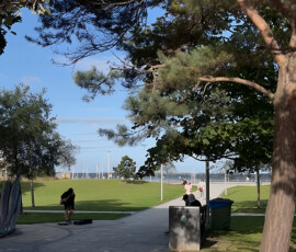 The Green, Malahide - Murray & Associates Landscape Architecture